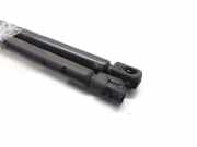 Gasdruckfedern Set Hinten 8731E6 Peugeot 206 (2A/C/H/J/S) Schrägheck 1.9 D (DW8B(WJY))