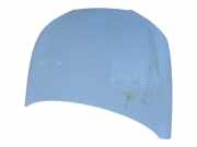 Motorhaube 6J0823031E Seat Ibiza IV SC (6J1) Schrägheck 3-drs 1.9 TDI 105 (BLS)