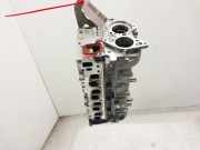 Zylinderkopf 55231550 Fiat Doblo Cargo (263) Ch.Cab/Pick-up 1.3 MJ 16V DPF Euro 5 (263.A.2000)