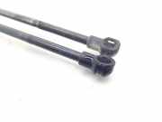 Gasdruckfedern Set Hinten 8177025561 Hyundai ACCENT (LC) GLS 86 CV / 63 KW