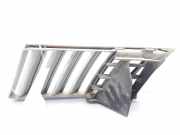 Grill 8200164540 Renault Vel Satis (BJ) Großraumlimousine 3.0 dCi V6 24V (P9X-701)