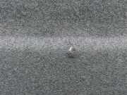 Hutablage 8329CZ Peugeot 307 (3A/C/D) Schrägheck 1.6 16V (TU5JP4(NFU))