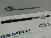 Gasdruckfedern Set Hinten 09152393 Opel Vectra B (36) Limousine 1.8 16V Ecotec (Z18XE)