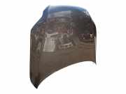 Motorhaube 4L0823029A Audi Q7 (4LB) SUV 3.0 TDI V6 24V Clean Diesel (CRCA)
