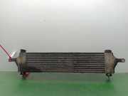 Ladeluftk?hler 14461JD50A Nissan (J10) Visia 106 CV / 78 KW