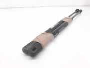 Gasdruckfedern Set Hinten 8N8827552 Audi TT (8N3) Coupé 1.8 20V Turbo Quattro (APX)