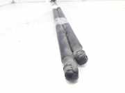 Gasdruckfedern Set Hinten A2118800029 Mercedes-Benz CLS (C219) Limousine 350 3.5 V6 18V (M272.964)