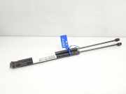 Gasdruckfedern Set Hinten BM51A406A10AE Ford Focus 3 Schrägheck 1.5 TDCi (XWDE)