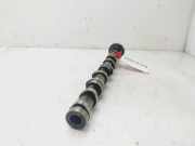 Nockenwelle 03L101 Skoda Fabia II Kombi Kombi 5-drs 1.6 TDI 16V 75 (CAYA)