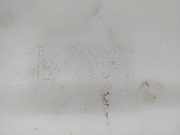 Scheibenwaschbehälter 9650452280 Peugeot 307 Break (3E) Kombi 1.6 HDiF 110 16V (DV6TED4(9HY))