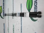 Gasdruckfedern Set Hinten 8731C3 Citroën CITROEN XANTIA BERLINA 1.8 16V CAT (LFY / XU7JP4) 110 CV / 81 KW