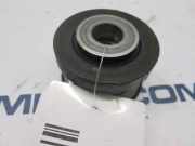 Lichtmaschine Riemenscheibe WCPN16RC4X Ford BERLINA (CAP) 1.6 TDCi CAT 90 CV / 66 KW