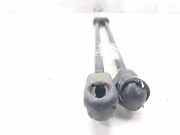 Gasdruckfedern Set Hinten 13182309 Opel Corsa D Schrägheck 1.3 CDTi 16V ecoFLEX (Z13DTJ)