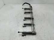 Einspritzdüsen Düsenstock 07Z133317J Volkswagen Touareg (7LA/7L6) SUV 5.0 TDI V10 (AYH) AYH