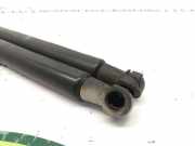 Gasdruckfedern Set Hinten 0051778432 Fiat Punto Evo (199) Schrägheck 1.4 Natural Power (350.A.1000)