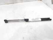 Gasdruckfedern Set Hinten 8731F8 Peugeot 307 BREAK / SW (S1) BREAK XS 109 CV / 80 KW