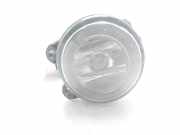 Nebelscheinwerfer Links Vorne 63176920885 BMW X5 (E53) SUV 3.0d 24V (M57-D30(306D1))