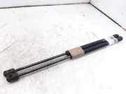 Gasdruckfedern Set Hinten 7700828451 Renault Megane (BA) Schrägheck 5-drs 1.6i ,Easy (K7M-702)