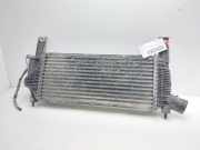 Ladeluftkühler 14461EB360 Nissan Navara (D40) Pick-up 2.5 dCi 16V 4x4 (YD25DDTi)