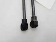 Gasdruckfeder Set Vorne 654707606R Renault Megane III Grandtour (KZ) Kombi 5-drs 1.2 16V TCE 130 (H5F-404(H5F-B4))