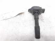 Zündspule 224332428R Dacia Sandero II Schrägheck 0.9 TCE 12V (H4B-400(H4B-A4))