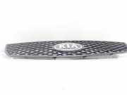 Grill 863611G010 Kia Rio II (DE) Schrägheck 1.4 16V (G4EE)