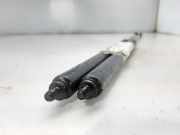 Gasdruckfedern Set Hinten 873193 Peugeot 205 II (20A/C) Schrägheck 1.8 XLD,XRD,GLD,GRD (XUD7(161A))