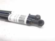 Gasdruckfedern Set Hinten 51248254281 BMW 3 serie (E46/4) Limousine 320d 16_V (M47N(204D4))