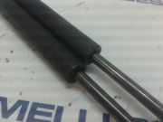 Gasdruckfedern Set Hinten 7700838612 Renault MEGANE I FASE 2 CLASSIC (LA..) 1.4 16V Expression 95 CV / 70 KW