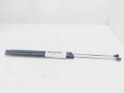 Gasdruckfedern Set Hinten 7700846772 Renault (B56) 2.2 dT RXE 113 CV / 83 KW