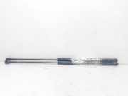 Gasdruckfedern Set Hinten 0000051734960 Fiat Croma (194) Schrägheck 1.9 D Multijet 16V (939.A.2000)