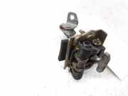 Türfänger M61M49 Citroën Berlingo Van 1.9 D (DW8B(WJY))