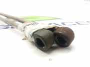 Gasdruckfedern Set Hinten 7700800311 Renault I FASE I+II (B/C57) 1.2 RN (B / C 57 R / S) 54 CV / 40 KW