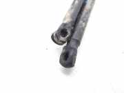 Gasdruckfedern Set Hinten 1769800264 Mercedes-Benz A (W176) Schrägheck 2.2 A-200 CDI, A-200d 16V (OM651.930)