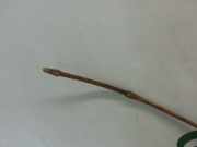 Ölpeilstab 9158395 Opel Zafira (F75) Großraumlimousine 2.2 DTI 16V (Y22DTR)