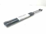 Gasdruckfeder Set Vorne 96830124 Daewoo / Chevrolet Captiva (C100) SUV 2.4 16V 4x2 (Z24SED)