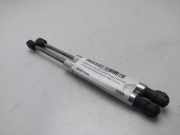 Gasdruckfedern Set Hinten 3B5827550E Volkswagen Passat (3B3) Limousine 1.9 TDI 130 (AVF)