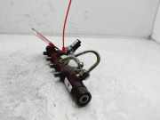 Einspritzdüsen Düsenstock 8200397346 Renault Scénic II (JM) Großraumlimousine 1.5 dCi 105 (K9K-732)