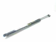Gasdruckfedern Set Hinten A2048800029 Mercedes-Benz E (W212) Limousine E-220 CDI 16V BlueEfficiency (OM651.924)