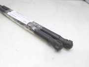 Gasdruckfedern Set Hinten 3M51R406A10AD Ford (CB3) Ambiente 90 CV / 66 KW