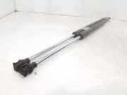 Gasdruckfedern Set Hinten 8200021974 Renault Espace (JK) Großraumlimousine 2.2 dCi 16V (G9T-742)