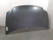 Motorhaube 04860455AG Chrysler (RG) 2.5 CRD SE 143 CV / 105 KW