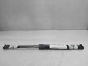 Gasdruckfedern Set Hinten 191827550B Volkswagen Golf II (19E) Schrägheck 1.6 C,CL,GL (EZ) EZ