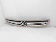Grill 9650059677 Citroën Xsara Picasso (CH) Großraumlimousine 1.6 HDi 16V 92 (DV6ATED4(9HX))