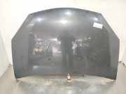 Motorhaube 6001551793 Dacia Sandero I (BS) Schrägheck 1.6 MPI 85 (K7M-818)