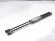 Gasdruckfedern Set Hinten 96540939 Daewoo / Chevrolet Kalos (SF48) Schrägheck 1.2 (B12S1)