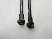 Gasdruckfedern Set Hinten 8P3827552B Audi A3 (8P1) Schrägheck 3-drs 1.6 16V FSI (BLF)