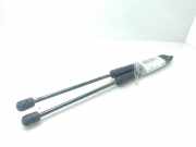 Gasdruckfedern Set Hinten 4L0827552A Audi Q7 (4LB) SUV 3.0 TDI V6 24V (BUG)