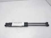 Gasdruckfedern Set Hinten 654706489R Renault Kangoo Express (FW) Van 1.5 dCi 75 FAP (K9K-608)