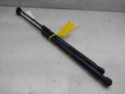 Gasdruckfedern Set Hinten 2G7827550A Volkswagen Taigo SUV 1.0 TSI 110 12V (DLAA) DLAA